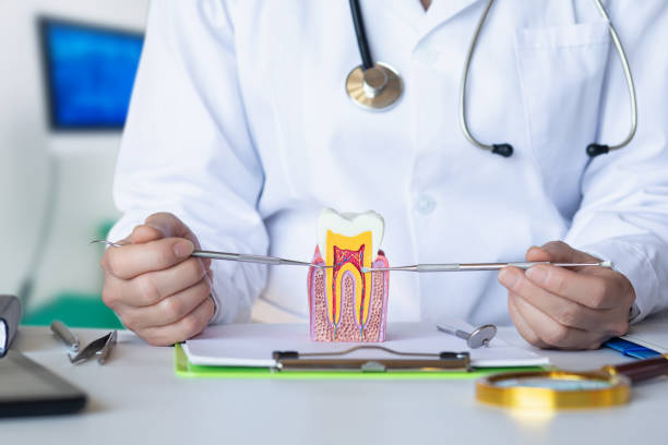 Best Emergency Dentist for Special Needs Patients in Hudson, IL